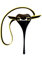 Finis Posture Trainer (1.05.045)